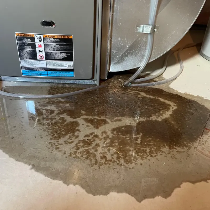 Appliance Leak Cleanup in Sylvania, AL